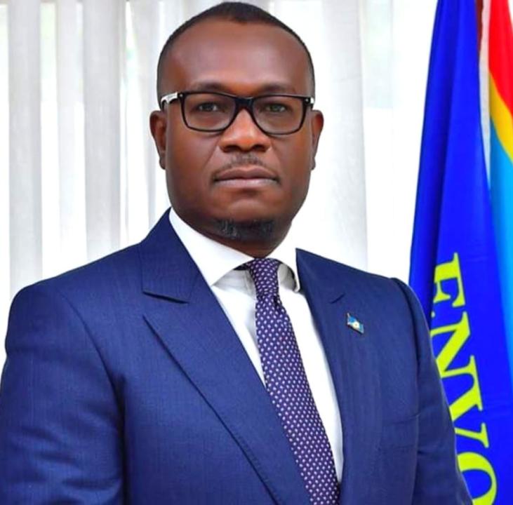 Delly Sesanga, Président du parti politique Envol