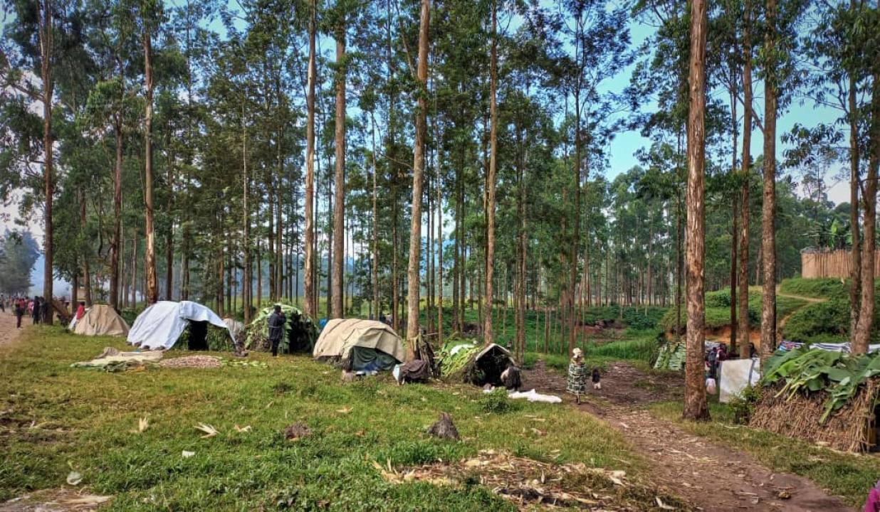 Un camp des déplacés dans l'Est de la RDC [photo d'illustration]