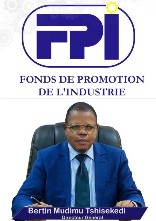 Bertin Mudimu, DG du FPI