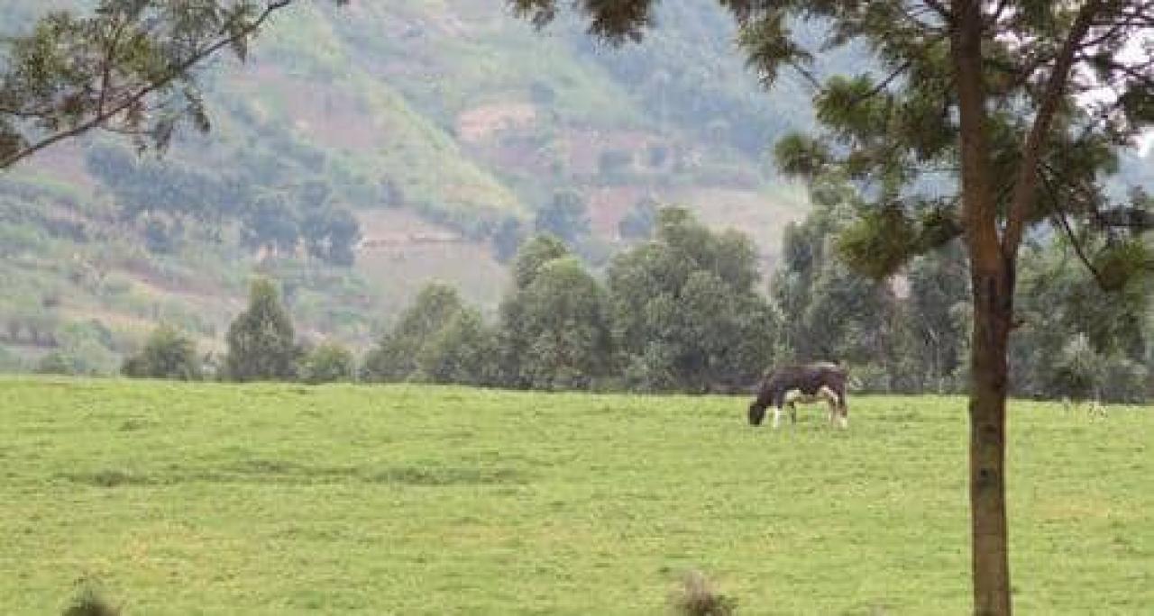 Un paysage dans le territoire de Masisi, près de la cité Sake. [Photo d'illustration]