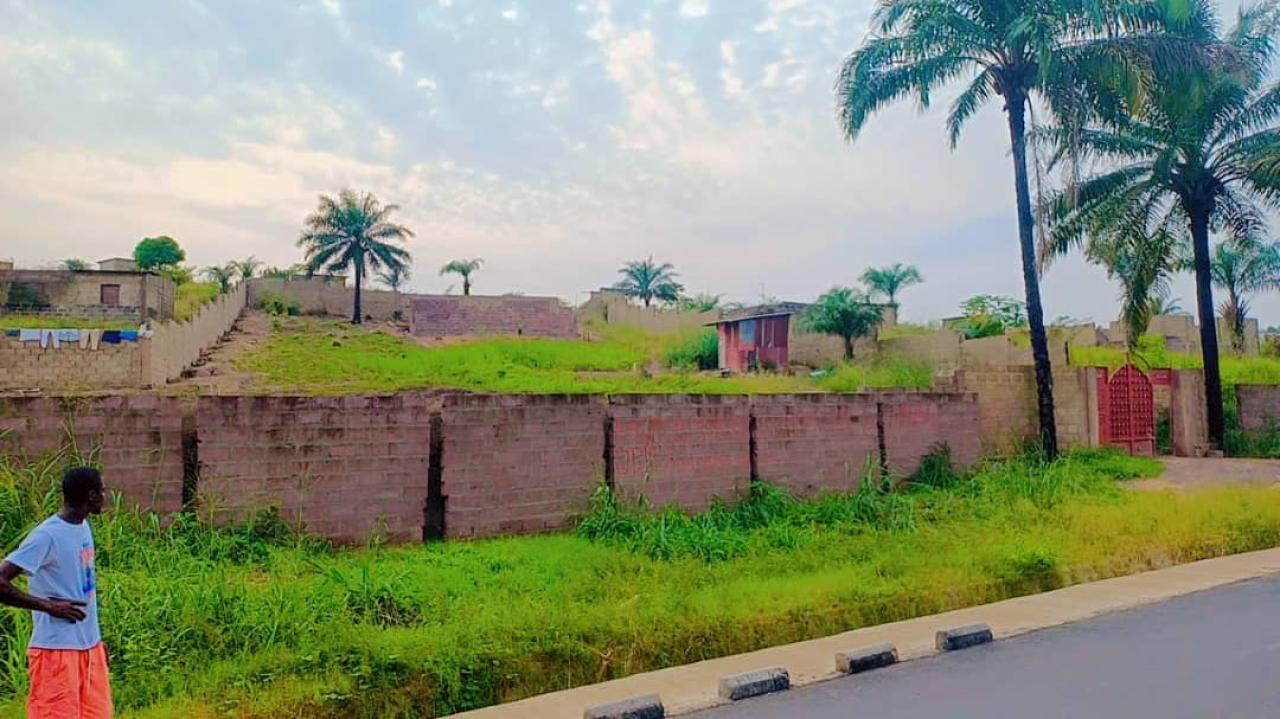Une vue de la concession du Docteur Priss Mwabi Tambwe en pleine spoliation à Ndjili Brasserie