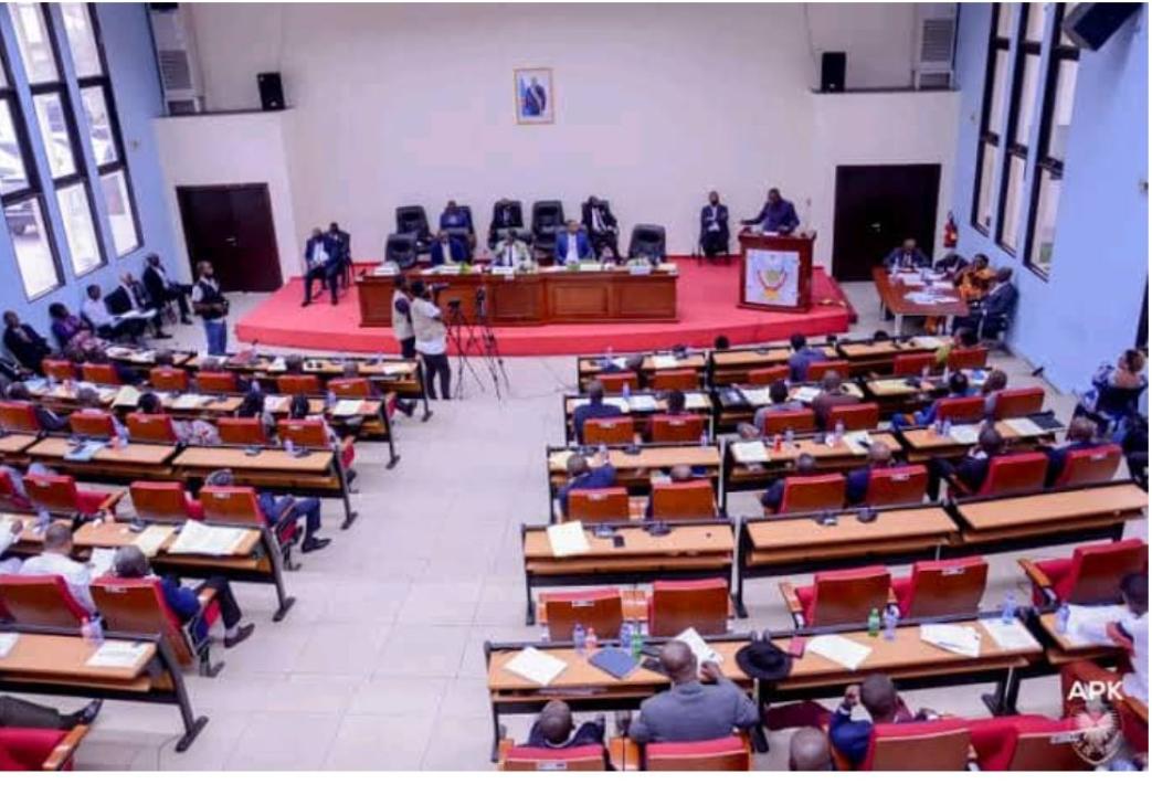 Plénière à l'Assemblée provinciale de Kinshasa