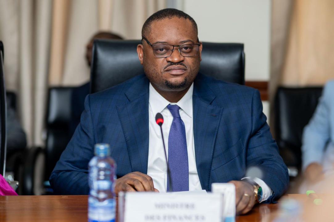 Doudou Fwamba, ministre des finances