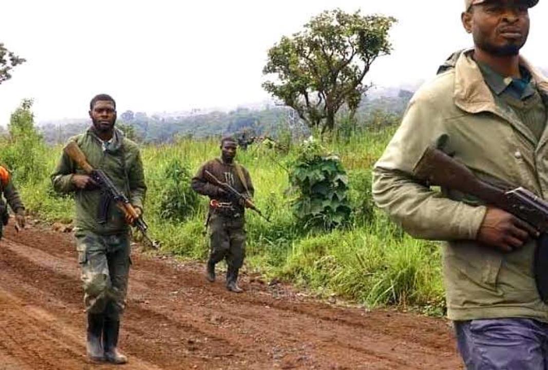 Un groupe des Wazalendo en pleine opération dans le Nord-Kivu.