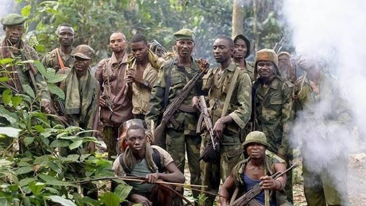 Les patriotes Wazalendo après la prise de Bweza