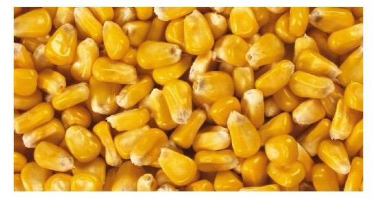 Image d'illustration.