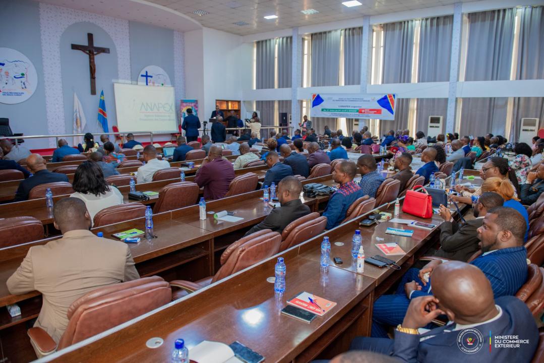 Lancement de l’atelier de l’appropriation de la SPED à Kinshasa, le 31 mars 2025 [photo d’illustration]