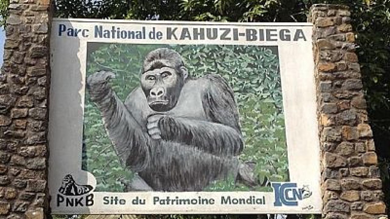 Parc National de Kahuzi Biega [photo d’illustration]