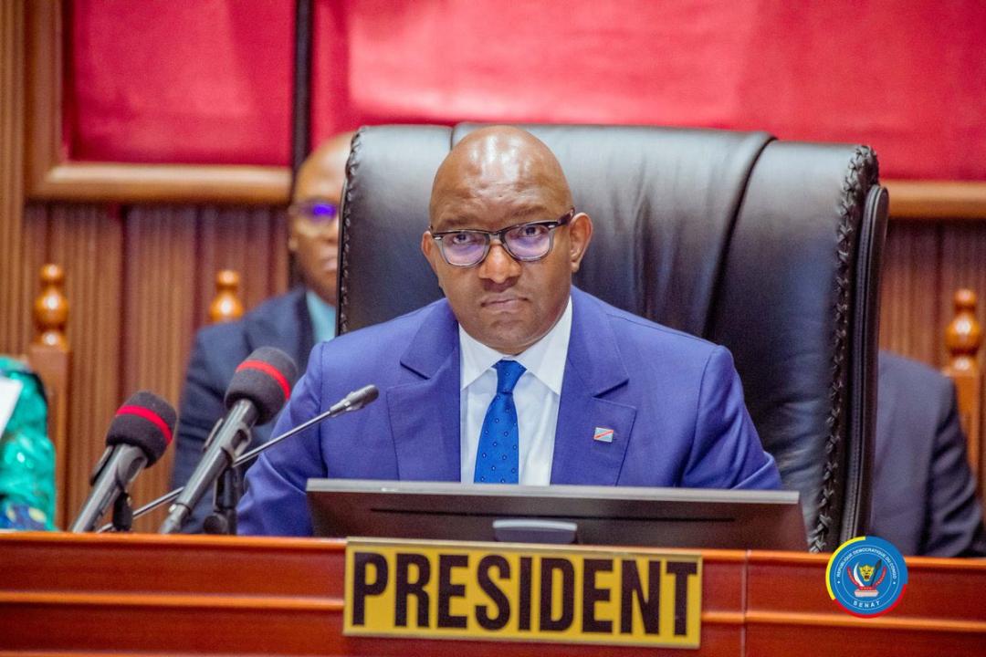 Le speaker de la chambre haute du parlement Sama Lukonde