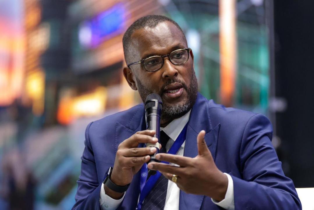 Nzanga Mobutu, Président national du parti politique UDEMO