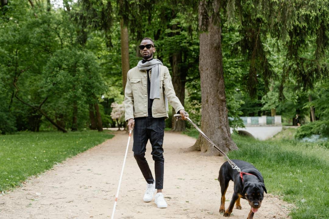 Un chien de compagnie tente de guider un non voyant