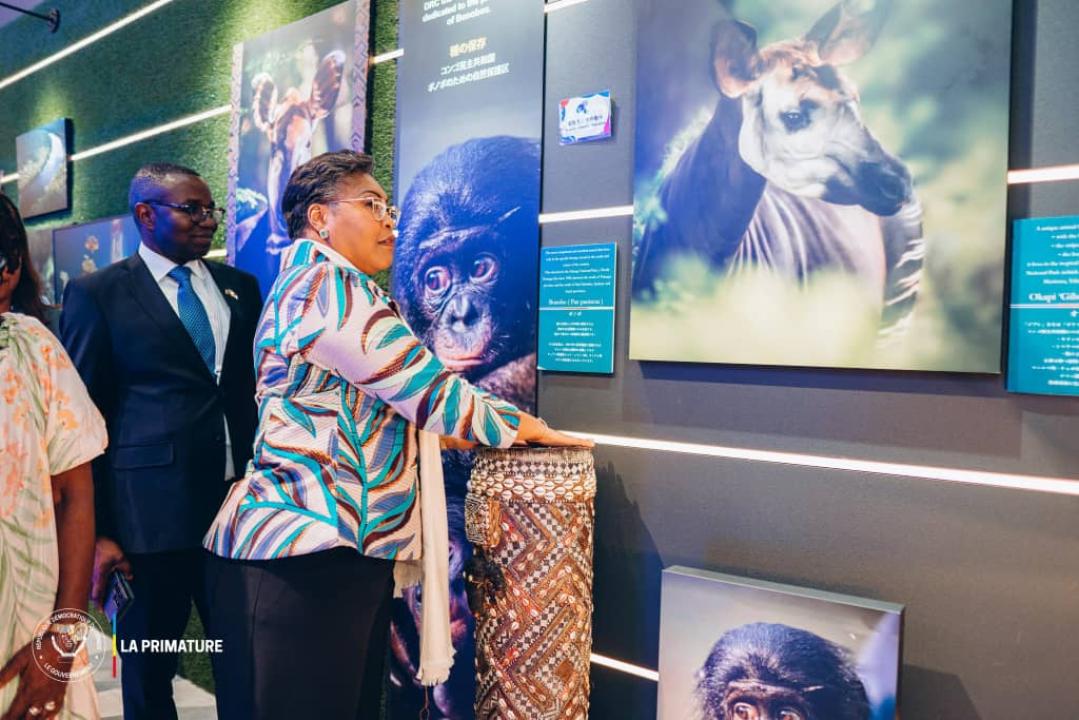 À l’Expo Osaka 2025, la Première Ministre Judith Suminwa célèbre le rôle de la RDC comme "pays solution" et renforce les liens culturels avec le Japon