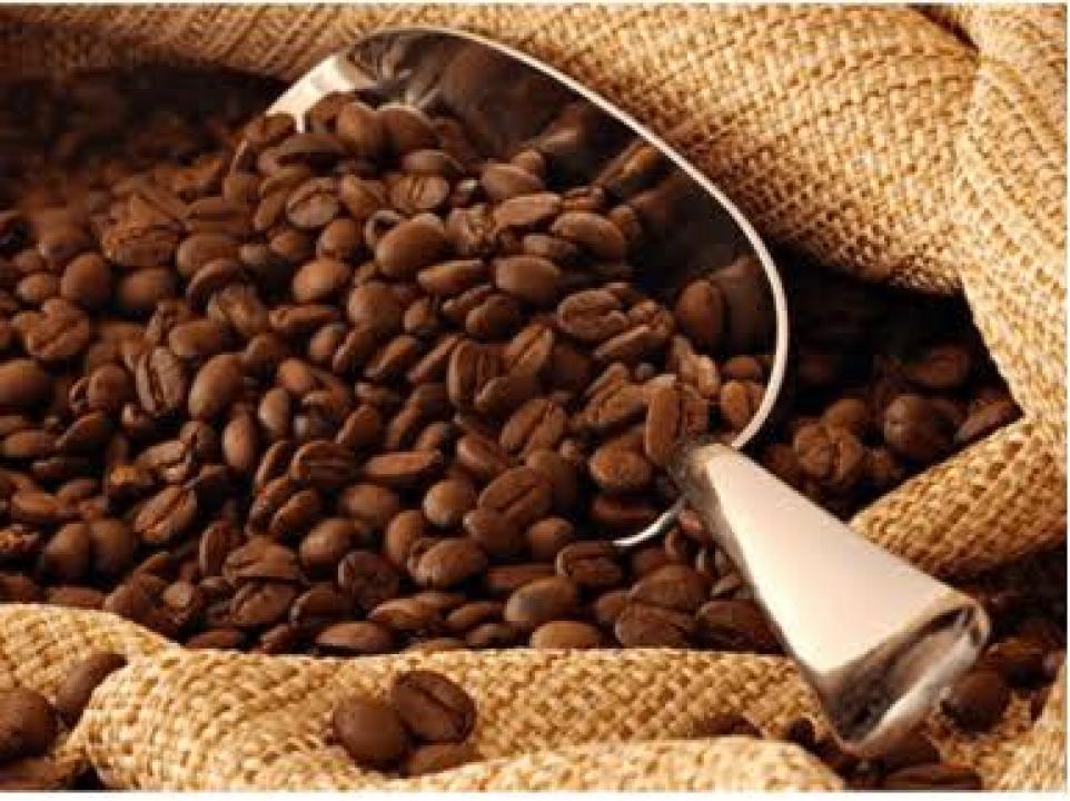 Photo d'illustration