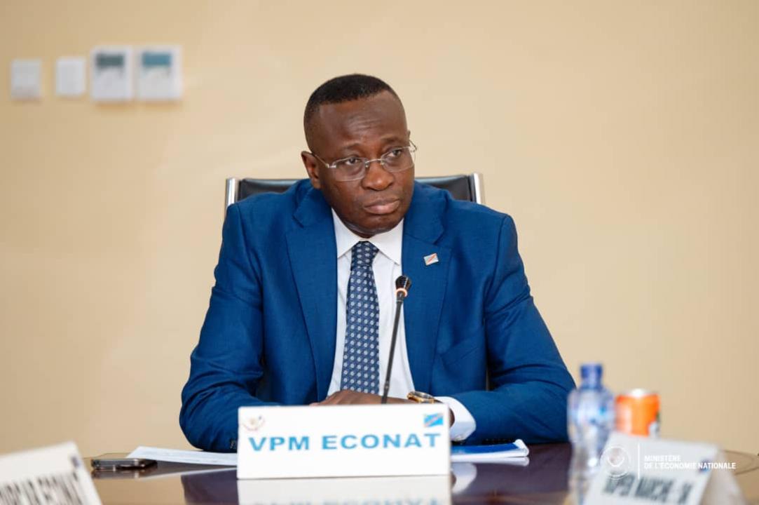 Daniel Mukoko Samba, Vice-premier ministre, ministre de l'Économie nationale