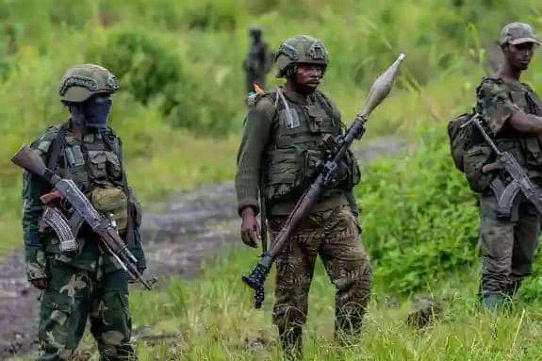 Des rebelles du M23-AFC autour du Parc national des Virunga [photo d’illustration]