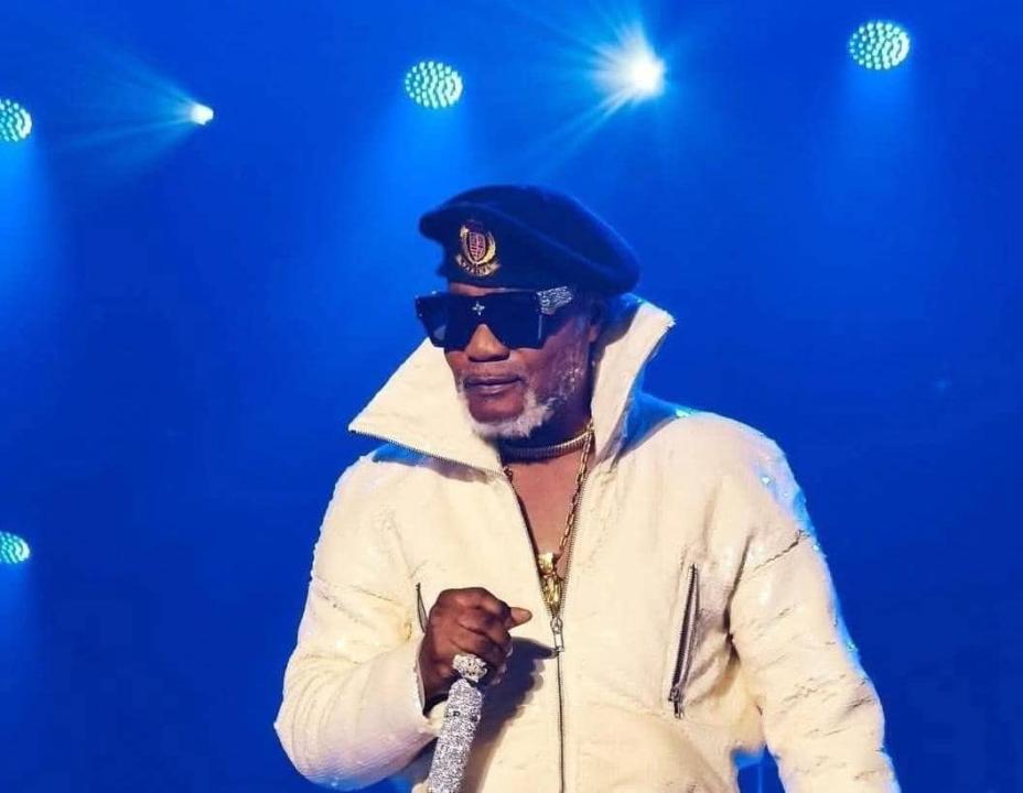 Koffi Olomide lors de son concert à l'ING Arena Bruxelles. [Photo d'illustration]
