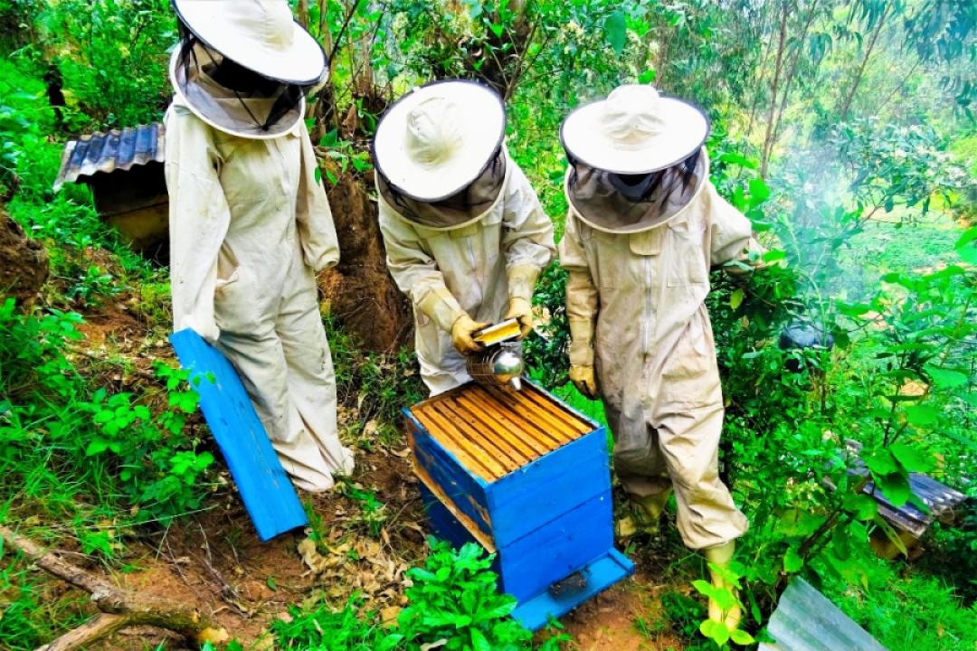 Photo d'illustration