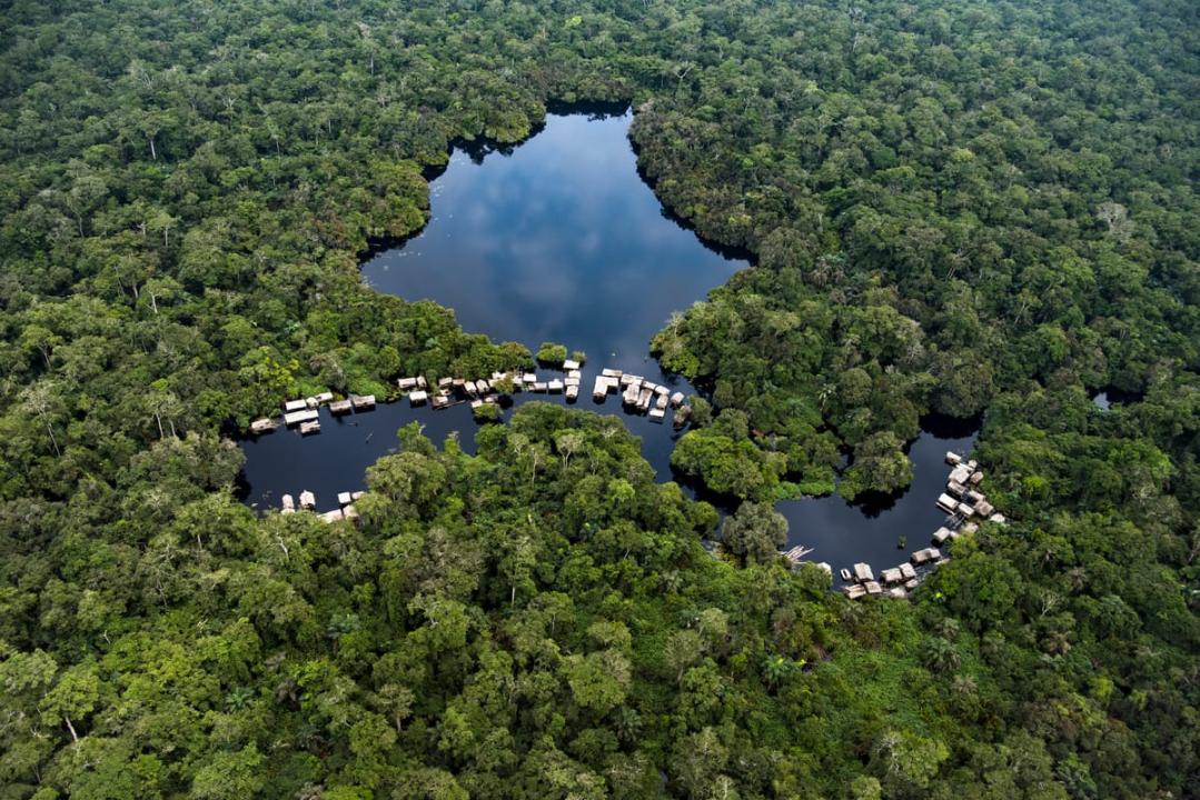 Vue aérienne de la forêt du bassin du Congo [photo d’illustration]