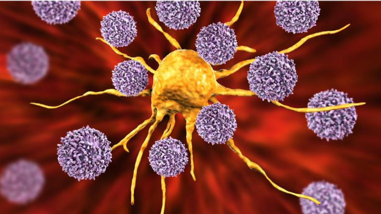 Photo d'illustration