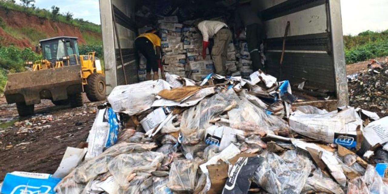 Une cargaison de 10 tonnes de poissons avariés détruite à Kasumbalesa dans le Haut-Katanga