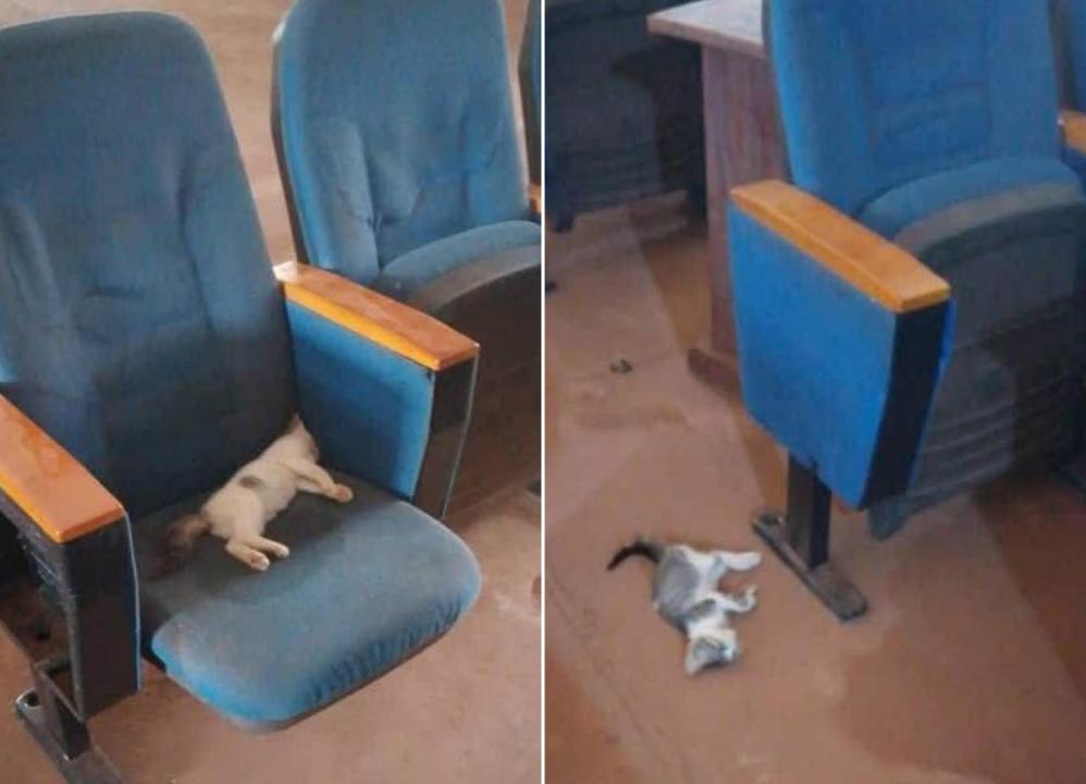 Photo d'illustration