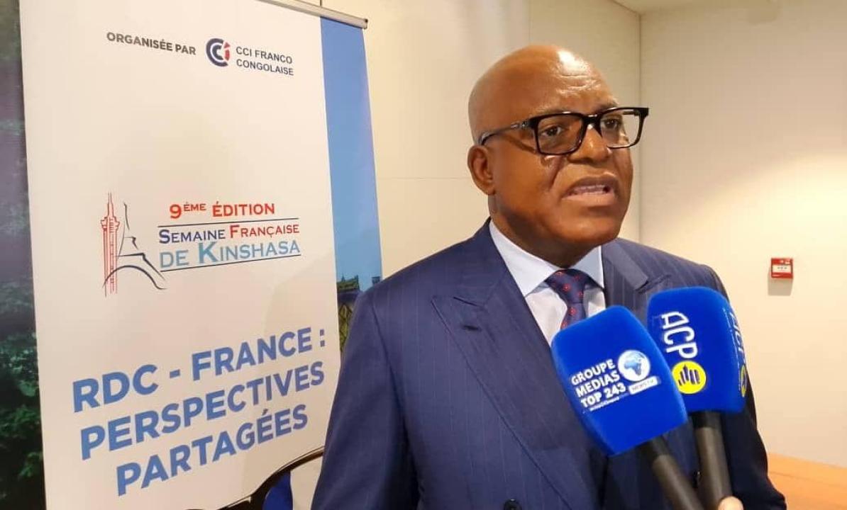 Émile Ngoy, Ambassadeur de la RDC en France