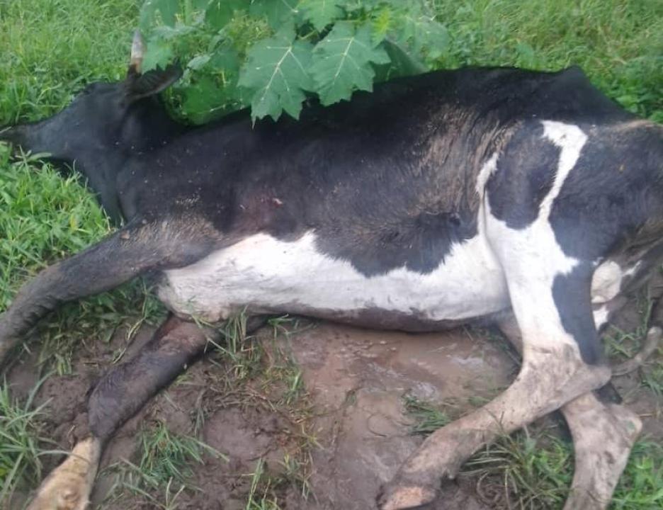 Photo d’illustration