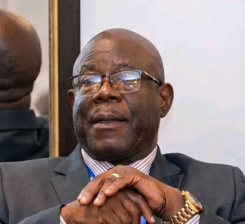 Timothée Menayame élu président de la Linafoot