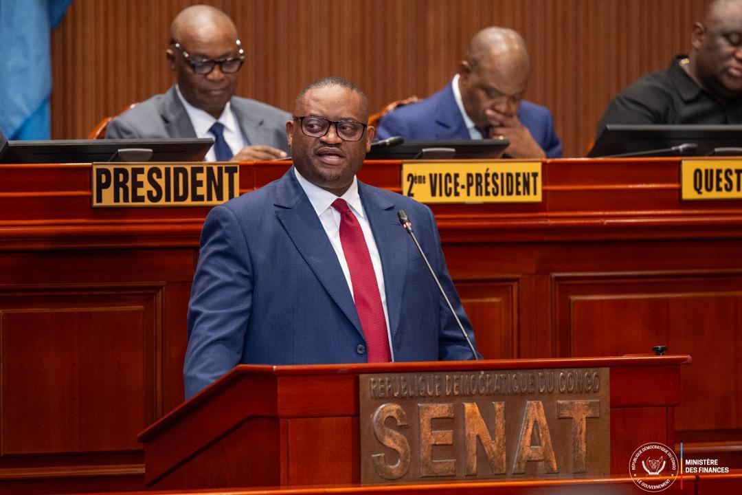 Le ministre des Finances, Doudou Fwamba, répondant aux questions de sénateurs
