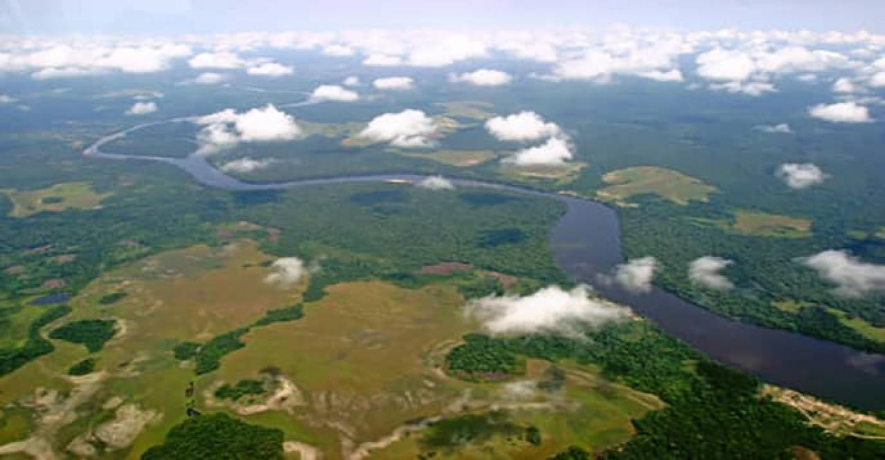 Vue aérienne du Parc National de la Salonga [photo d'illustration]