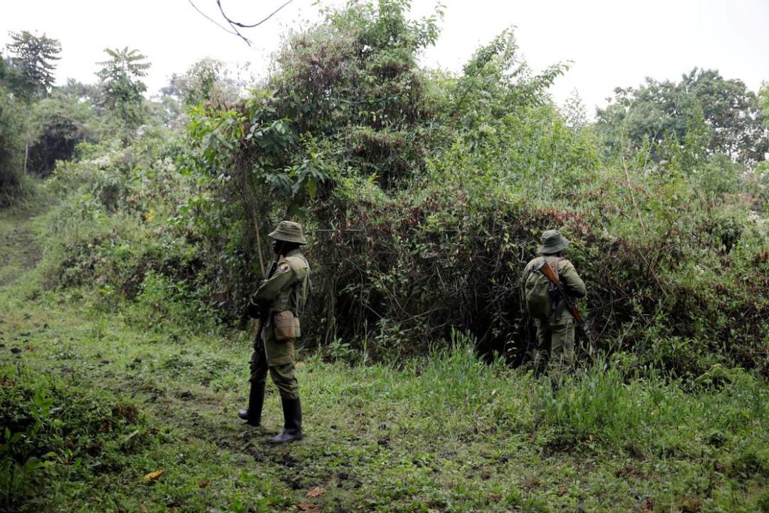 Des écogardes dans le parc national des Virunga [photo d'illustration]