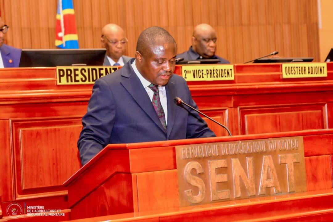 Le ministre de l'Agriculture,Muhindo Nzangi, au sénat [photo d'illustration]