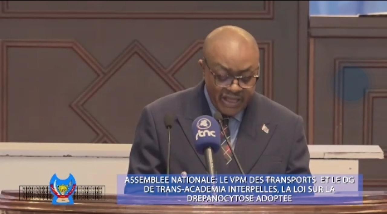 Le DG de Trans Académia Georges Ongelo lors de son audition à l'Assemblée nationale, vendredi 12 juin 2026.
