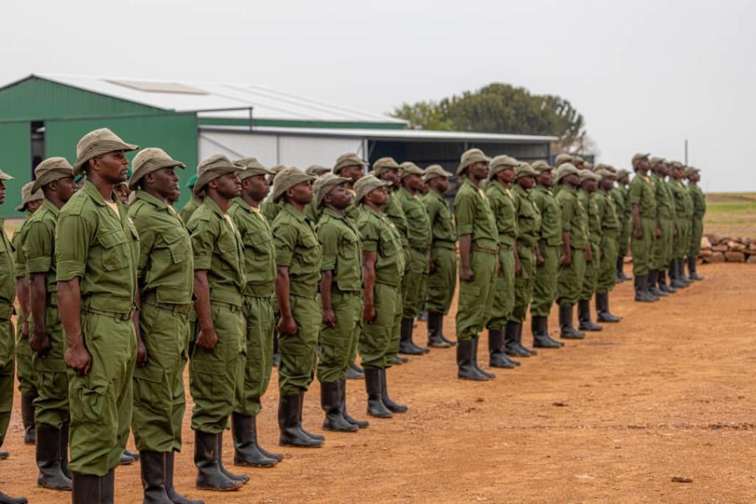 Des nouveaux éco-gardes du Parc national des Virunga après leur formation [photo d'illustration]