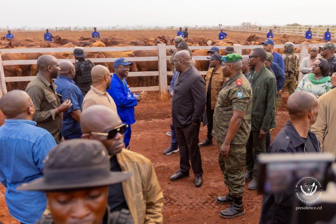 Félix Tshisekedi inspecte les installations agro-industrielles de Kaniama-Kasese [photo d'illustration]