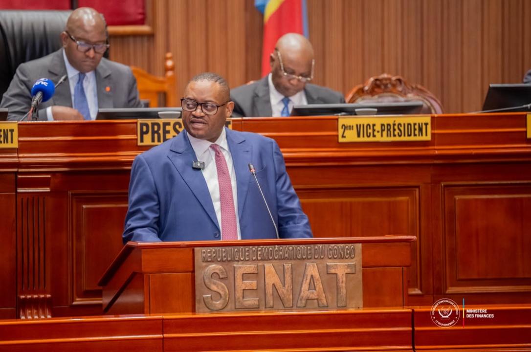 Le ministre des Finances, Doudou Fwamba Likunde Li-Botayi,  lors d’une intervention au Sénat de la RDC